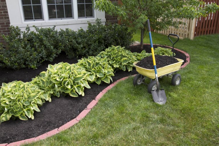 Ahorra en el Cuidado de tu Jardín: Técnicas para Mantener tu Jardín Hermoso sin Gastar Mucho